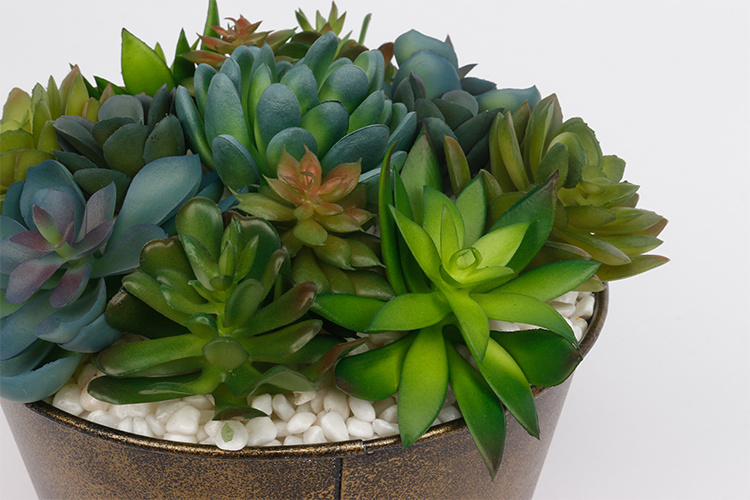 Arrangement-Artificial-Succulent-Plants-with-Iron-Pots-Succulent-Flower-Pot-for-Home-Hotel-Decoration (4).jpg 